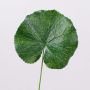 Hoja artificial de geranio HEIDEGARD, verde, 38cm, Ø11cm