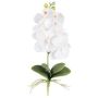 Orquídea Phalaenopsis artificial DRINTOR, varilla de sujeción, raíces, blanca, 40 cm