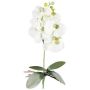 Orquídea Phalaenopsis artificial DRINTOR, varilla de sujeción, raíces, blanco-verde, 40 cm