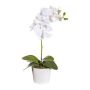 Orquídea Phalaenopsis artificial TRALKE, varilla, raíces, blanca, 40 cm