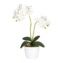 Orquídea Phalaenopsis artificial FRUXO, varilla, raíces, blanco, 50 cm
