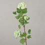 Viburnum artificial DJAMILA, blanco-verde, 75cm, Ø4-8cm