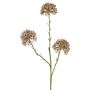 Allium artificial ALIKIO, morado, 65 cm, Ø 7 cm