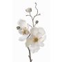 Magnolia de plástico MALBINE, crema, 50cm, Ø6-10cm