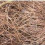 Fibra natural de sisal GIUSEPPA, marrón, 20 g