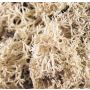 Musgo de reno auténtico FINNBJÖRN, natural, 50 g