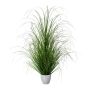 Hierba decorativa pennisetum KIVRA en maceta decorativa, verde, 90cm
