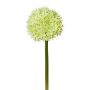Flor artificial Allium WANDENY, crema-verde, 65cm