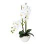 Orquídea Phalaenopsis artificial DINKA en cuenco de cerámica, con raíces, blanca, 50 cm