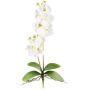Orquídea Phalaenopsis artificial MORLEK, varilla, raíces, color crema, 60 cm