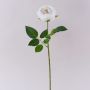 Rosa artificial MARNUK, color crema-blanco, 60 cm, Ø 9 cm