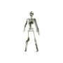 Figura de Halloween: esqueleto pequeño WENDELIN cubierto de musgo, 40cm