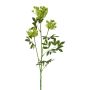 Rama sintética de zanahoria silvestre TOLHER, verde, 85cm