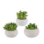 Arreglo decorativo de suculentas ZIFER en maceta de cemento, 3 unidades, verde, 8-10 cm