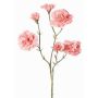 Rama decorativa de clavel STURYN, rosa claro, 55 cm, Ø 2,5-6 cm