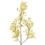 Rama decorativa de gypsophila MURMYN, amarillo-verde, 65 cm