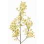 Rama decorativa de gypsophila MURMYN, amarillo-verde, 65cm