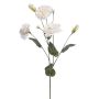 Lisianthus artificial RENARA, blanco, 75 cm