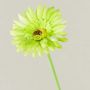 Flor artificial Gerbera TEUDELINDE, verde-crema, 55 cm, Ø 8 cm