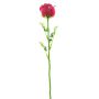Rosa de plástico EVARISTO con aspecto de cristal, 12 unidades, rojo burdeos, 80 cm
