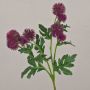 Rama de flor artificial de cardo esférico TRAUDLINDE, violeta, 55 cm, Ø 3-4 cm