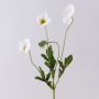 Rama de amapola artificial OXANDRINE, blanco crema, 60 cm, Ø 6 cm