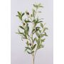 Rama de olivo de plástico ROVUMA con frutos, verde, 95 cm