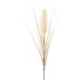 Racimo de hierba de la pampa artificial WALNIN, beige, 100 cm