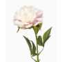 Flor artificial de peonía GAVRON, blanco-rosa, 55 cm