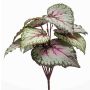 Planta artificial begonia de hoja BLAROM con soporte, crossdoor, gris-rosa, 25cm