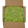 Musgo natural islandés SVEINBJÖRN, verde claro, 5 kg