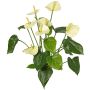 Anthurium artificial NAKITA con soporte, color crema, 50 cm