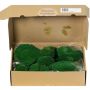 Musgo natural en láminas SEETHA, verde, 800 g, 0,15 m²