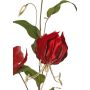 Rama de gloriosa aterciopelada DINFAS, rojo oscuro y dorado, 80 cm