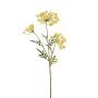 Rama decorativa de eneldo HAKIM con flores, amarilla, 80 cm