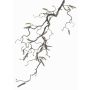 Rama de avellano de plástico XANCHO con amentos, marrón, 65cm, Ø0,5cm