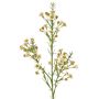 Rama artificial de flor de cera FRINDALS, color crema, 65 cm, Ø 1,5-2 cm