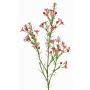 Rama artificial de flor de cera FRINDALS, rosa oscuro, 65cm, Ø1,5-2cm