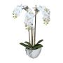 Orquídea Phalaenopsis artificial LARKEN en cuenco de cerámica, con raíces, blanca, 50cm