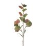 Rama decorativa de eucalipto KALHEN, verde-lila, 75cm