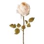 Flor decorativa rosa ZONFER, aspecto seco, color crema, 60 cm, Ø 8 cm