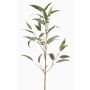 Rama decorativa de eucalipto JURKA con frutos, verde-gris, 90 cm
