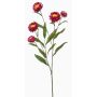 Rama artificial de flor de paja SNAVIK, fucsia, 70cm