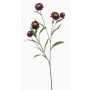 Rama artificial de flor de paja SNAVIK, lila, 70cm