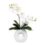 Orquídea Phalaenopsis decorativa DRELMOR, jarrón de cerámica, raíces, blanca, 35 cm