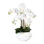 Orquídea Phalaenopsis de tela ZALBROK, jarrón decorativo blanco, raíces blancas, 75 cm