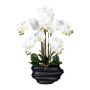 Orquídea Phalaenopsis de tela ZALBROK, jarrón decorativo negro, raíces blancas, 75 cm