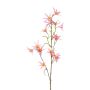 Rama artificial de Tweedia solanoides ZORHIL, rosa metalizado, 75 cm