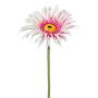 Flor artificial de gerbera FELISY, rosa-blanco, 65cm