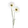 Margarita artificial SOPY, blanca, 55 cm